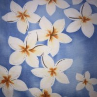 frangipani blue